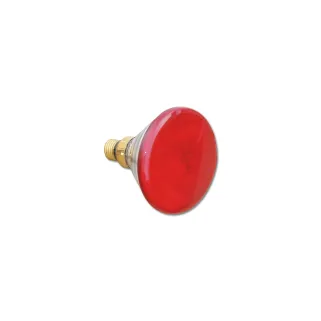 Ampoule chauffante infrarouge 100W pour élevage de volailles