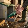 Pondoir poule 4 nids sur pieds avec collecteur | Ducatillon