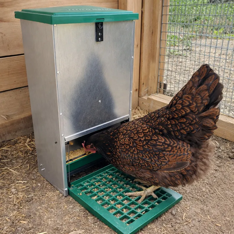 Mangeoire Feedomatic 12kg anti-nuisibles Olba