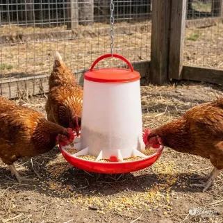 Mangeoire à trémie 6 kg pour volailles | Ducatillon