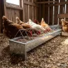 Mangeoire volailles GAUN galvanisée 75 cm | Ducatillon