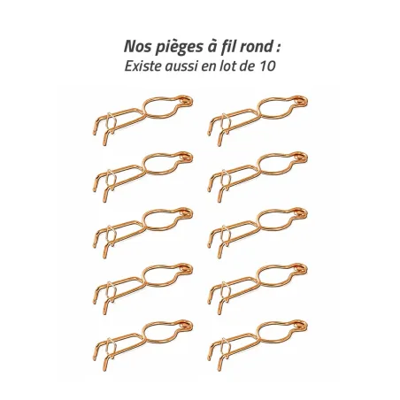 Piège à taupe en fil rond acier cuivré - Efficace et simple