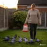 Mangeoire à trémie 1,5 kg pour volailles | Ducatillon