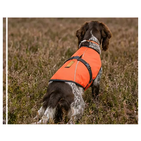 Gilet de protection Somlys Survivor T70 pour chien de chasse