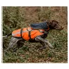 Gilet de protection Somlys Survivor T70 pour chien de chasse