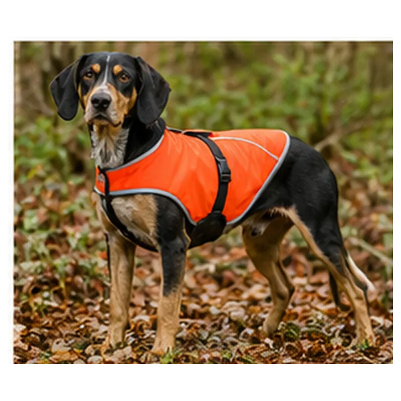Gilet de protection Somlys Made in Traque T75 pour chien traqueur