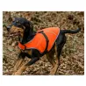 Gilet de protection Somlys Made in Traque T75 pour chien traqueur