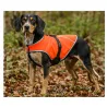 Gilet de protection Somlys Made in Traque T70 pour chien de chasse