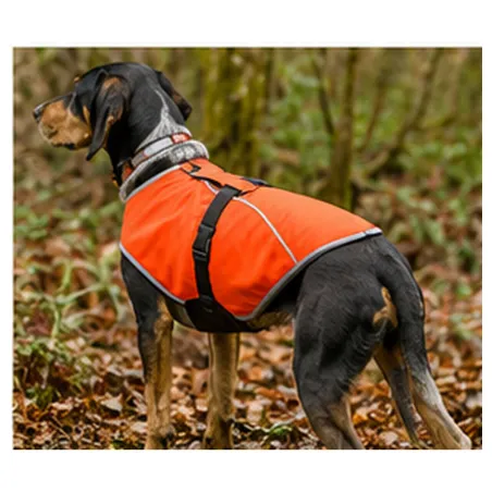 Gilet de protection Somlys Made in Traque T70 pour chien de chasse