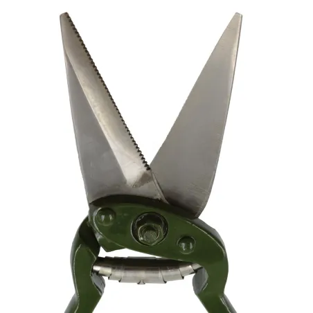 Cisailles à onglons pour moutons - Acier nickelé 26 cm