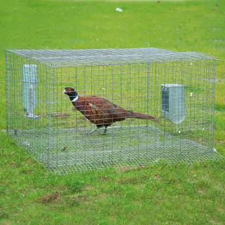 Cage pré-lâcher pliable vert 100x100x50 cm galvanisée