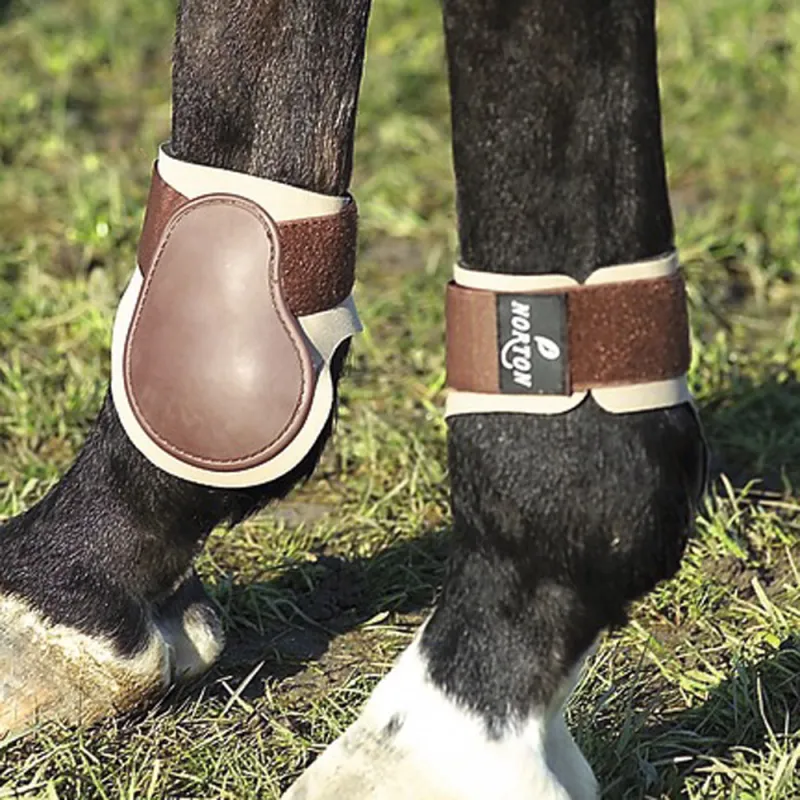 Protège-boulets en PVC pour chevaux - Confort & Protection