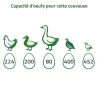 Couveuse Pro Expert Couvitech® 224 œufs