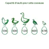 Couveuse Pro Expert Couvitech® 336 œufs