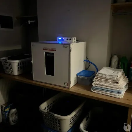 Couveuse évolutive 147 œufs - Caille à oie + kit humidification