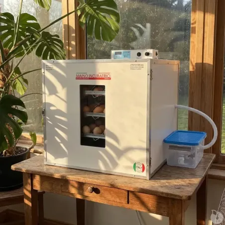 Couveuse évolutive 147 œufs - Caille à oie + kit humidification