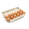 Lot de 124 boîtes en carton pour 12 œufs de poule