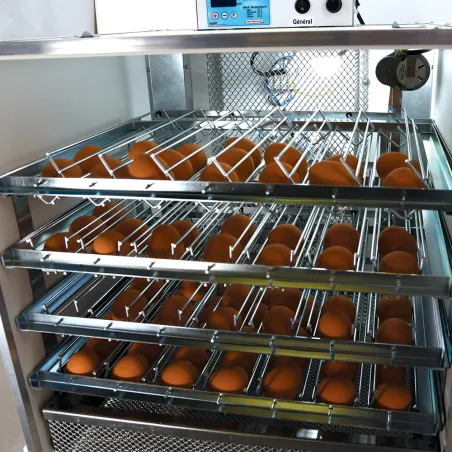 Couveuse Maino Mini Pro 196 - Automatisée & Digitale