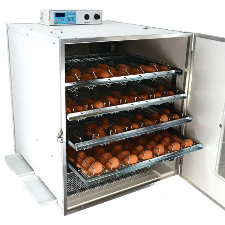 Couveuse Maino Mini Pro 196 - Automatisée & Digitale