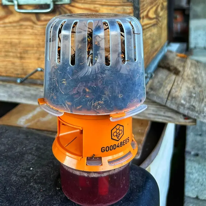 Piège sélectif V2 Good4Bees frelons asiatiques + attractants