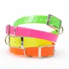 Collier fluo BIOGOLD pour chien - 4 couleurs résistantes
