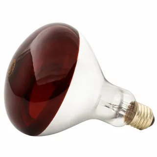 Ampoule chauffante infrarouge 100W pour éleveuse