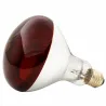 Ampoule chauffante infrarouge 100W pour éleveuse