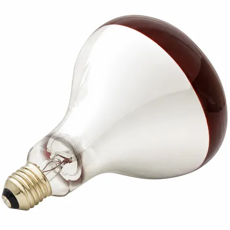 Ampoule chauffante infrarouge 100W pour éleveuse