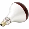 Ampoule infrarouge 60W pour éleveuse de volailles