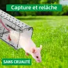 Lot de 2 cages à souris résistantes en plastique aéré