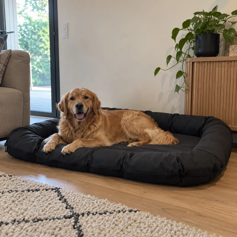 Coussin chien imperméable noir déhoussable | Ducatillon