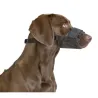 Muselière nylon réglable pour chien - Anti-morsure