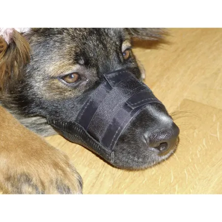 Muselière nylon réglable pour chien - Anti-morsure