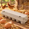 Lot de 3 968 boîtes à œufs en carton pour 12 œufs