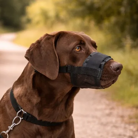 Muselière nylon réglable pour chien - Anti-morsure