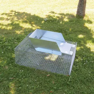 Piège métal multiprises rats et ragondins