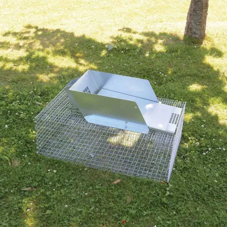 Piège métal multiprises rats et ragondins