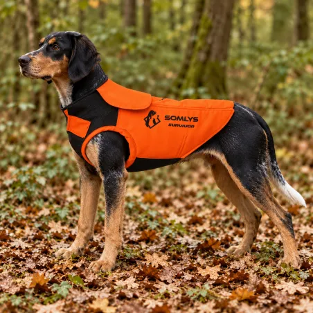 Gilet de protection Somlys Survivor T70 pour chien de chasse