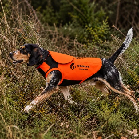 Gilet de protection pour chien SURVIVOR T75 - Anti-ronce avec cape et adaptateur intégré