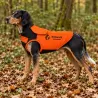 Gilet de protection pour chien SURVIVOR T75 - Anti-ronce avec cape et adaptateur intégré