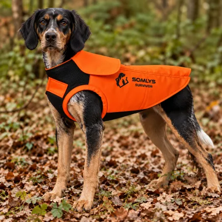 Gilet de protection pour chien SURVIVOR T75 - Anti-ronce avec cape et adaptateur intégré