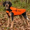 Gilet de protection pour chien SURVIVOR T75 - Anti-ronce avec cape et adaptateur intégré