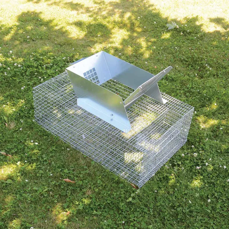 Piège métal multiprises rats et ragondins