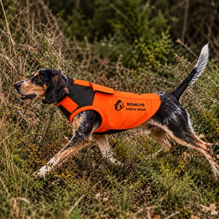 Gilet de protection Somlys Made in Traque T75 pour chien traqueur