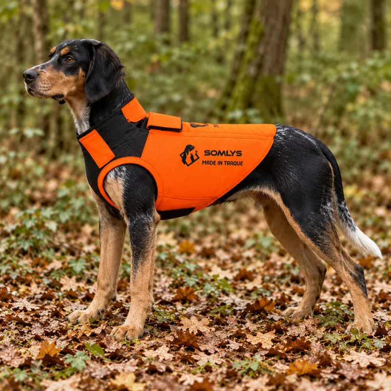 Gilet de protection Somlys Made in Traque T75 pour chien traqueur