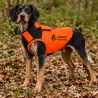 Gilet de protection Somlys Made in Traque T75 pour chien traqueur