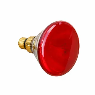 Ampoule chauffante infrarouge 100W pour élevage de volailles