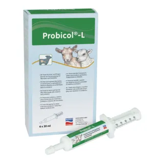 Probicol-L : complément vitalité pour agneaux et chevreaux