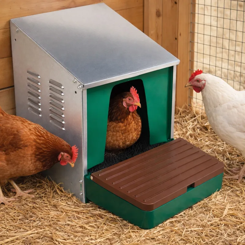 Pondoir OLBA à pente réglable pour poules - 49x31x42 cm