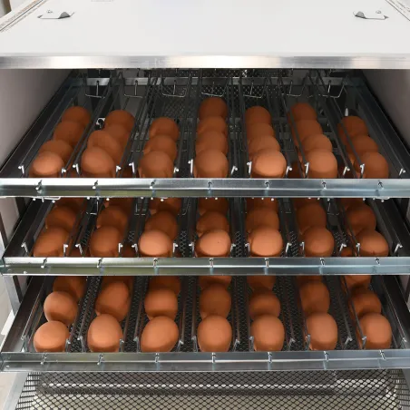 Couveuse Maino Mini Pro 147 Digitale - 147 œufs